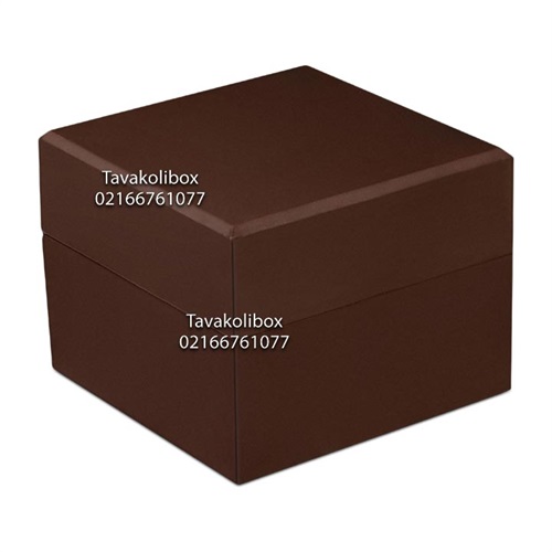 جعبه ساعت قهوه ای بدون مارک مدل TW-2210