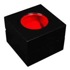 جعبه ساعت TW کوچک ذره بینی مدل : TW-2135