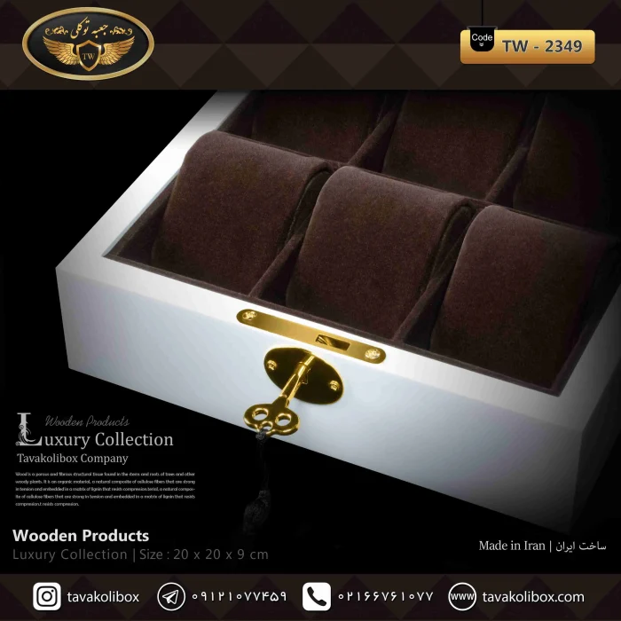 جعبه ساعت ۶ خانه لوکس کلیددار بالشتک لوکس رنگ سفید مدل : TW-2349