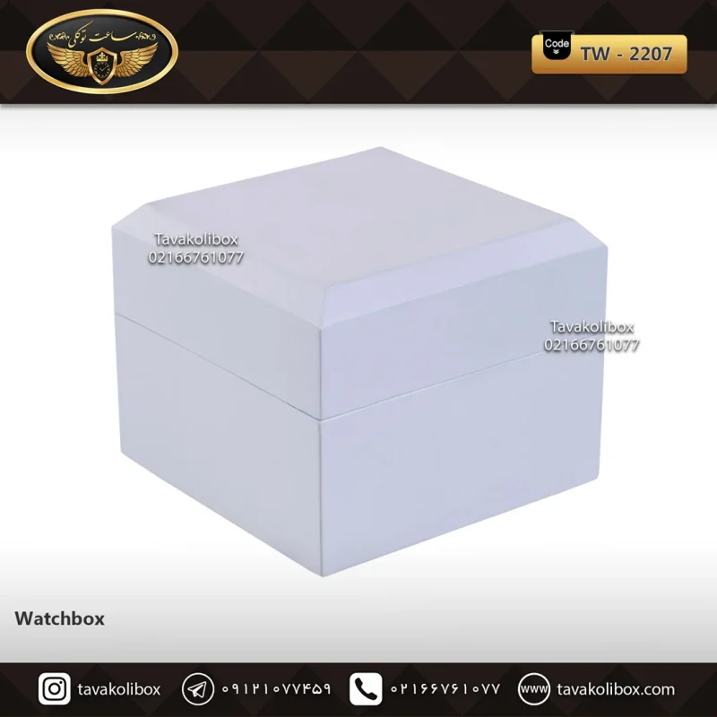 جعبه ساعت 1 خونه درب دار بالشتک معمولی رنگ سفید-مشکی مدل : TW-2207
