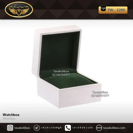 جعبه ساعت 1 خونه درب دار بالشتک معمولی رنگ سفید-سبز مدل : TW-2209
